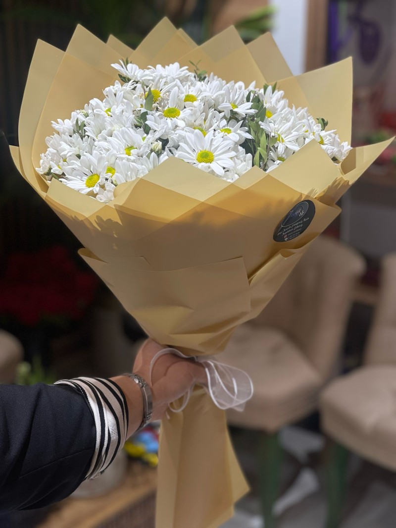 İTHAL BEYAZ PAPATYA