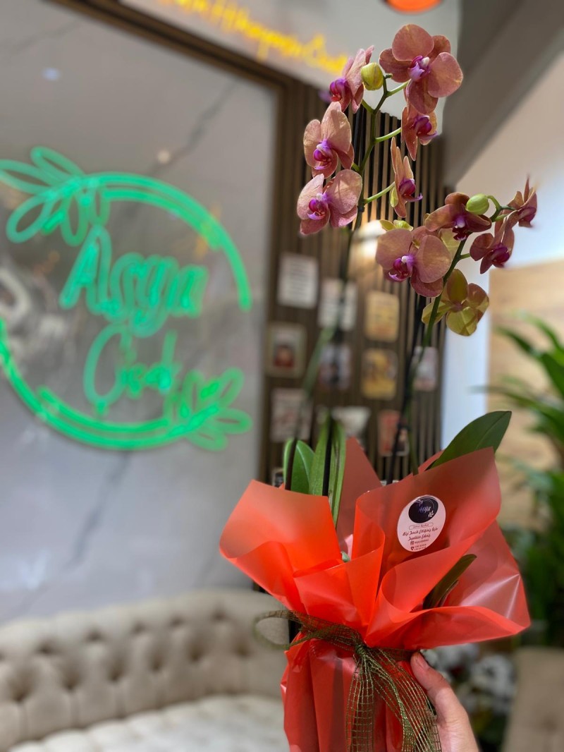 TURUNCU ORKİDE ÇİFT DAL